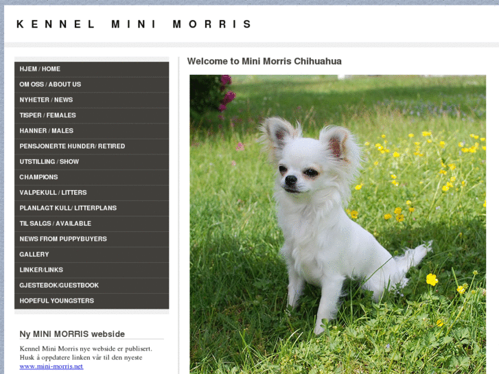 www.mini-morris.net