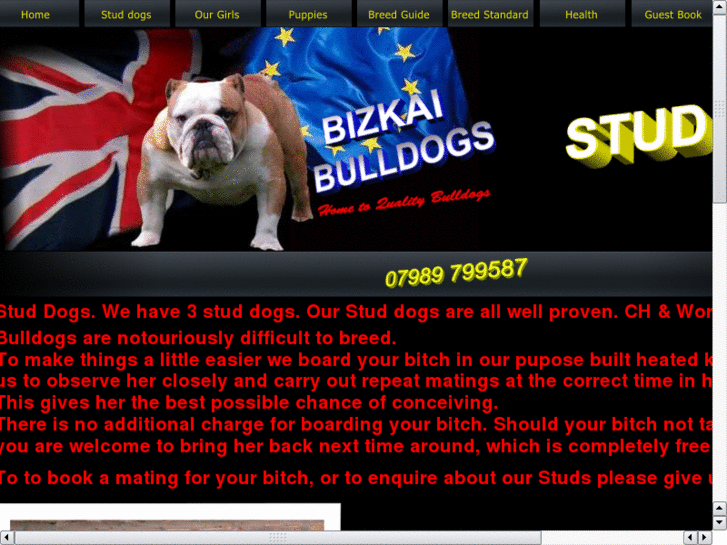 www.bulldog-stud.com