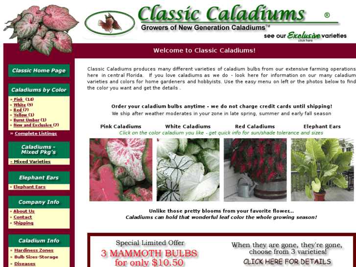 www.classiccaladiums.com