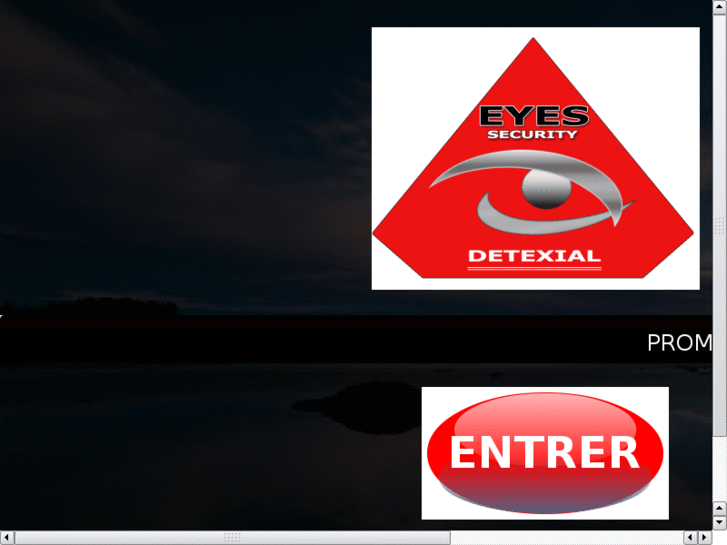 www.detexial-security.com