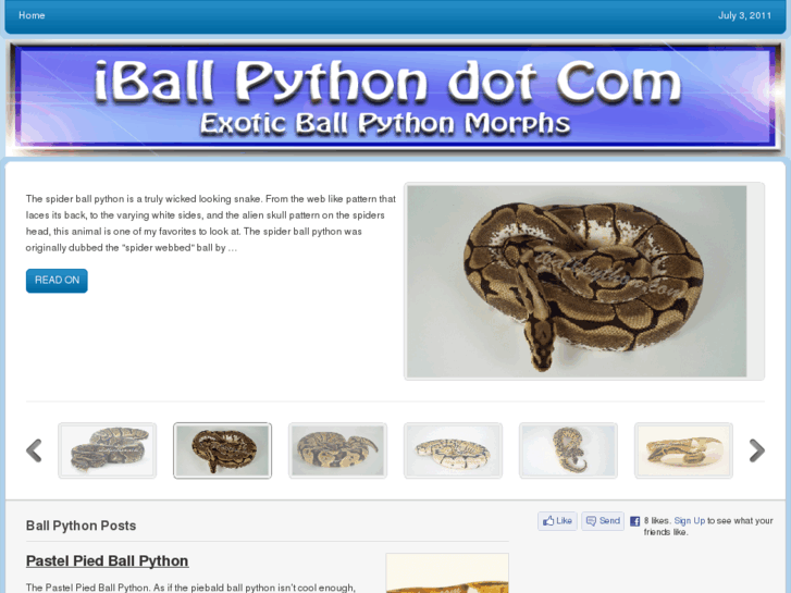 www.iballpython.com