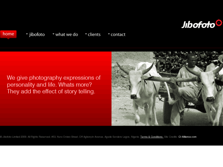 www.jibofoto.com