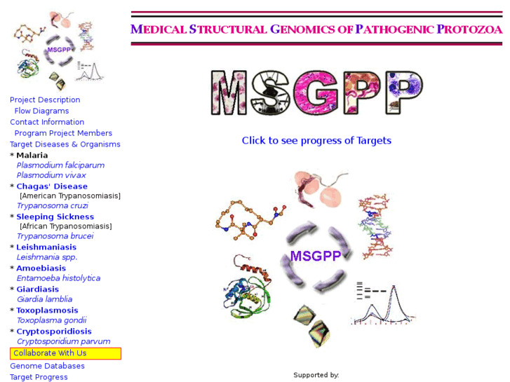 www.msgpp.org