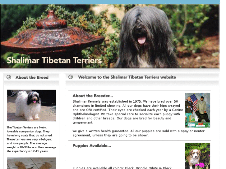 www.shalimartibetanterriers.com