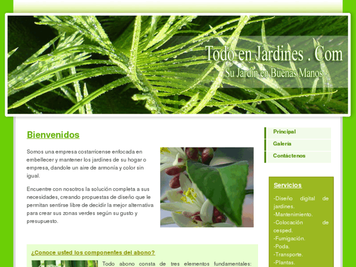 www.todoenjardines.com