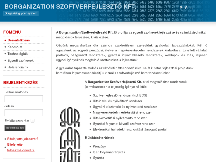 www.borganization.com