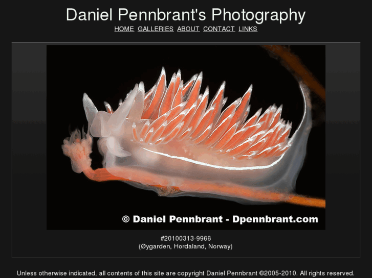 www.dpennbrant.com