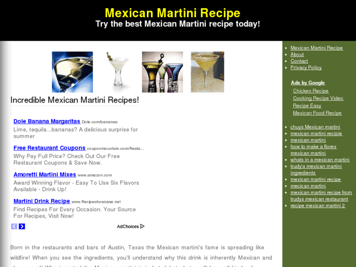 www.mexicanmartinirecipe.com
