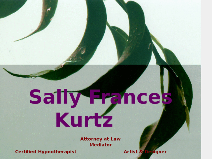 www.sallyfranceskurtz.com