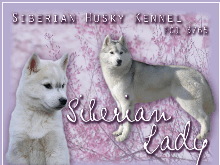 www.siberianlady.org.rs