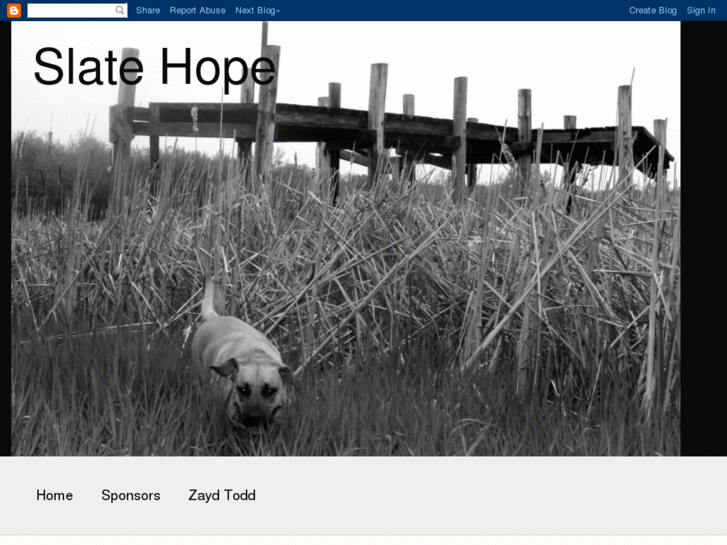 www.slatehope.com