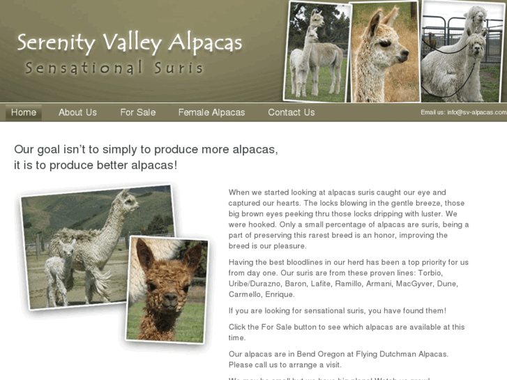 www.sv-alpacas.com