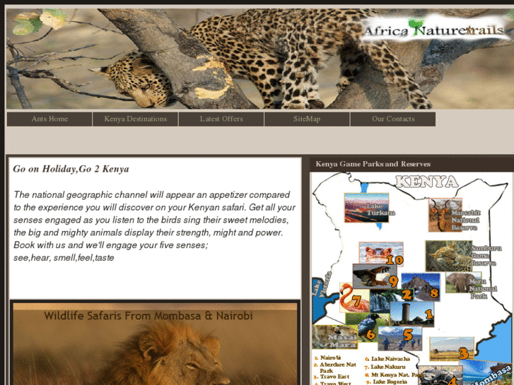 www.antsafaris.com