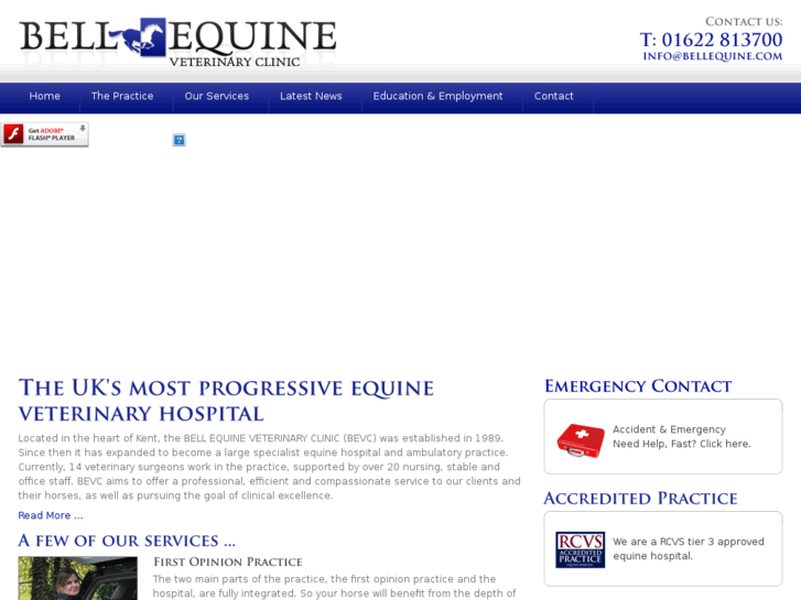 www.bellequine.com
