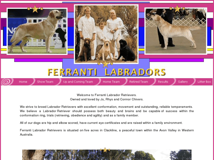 www.ferrantilabradors.com