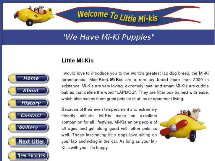 www.littlemi-kis.com