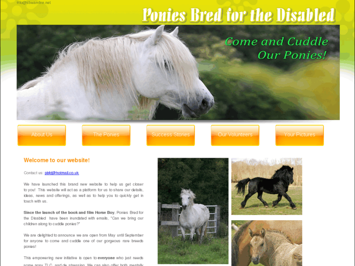 www.poniesbredforthedisabled.com