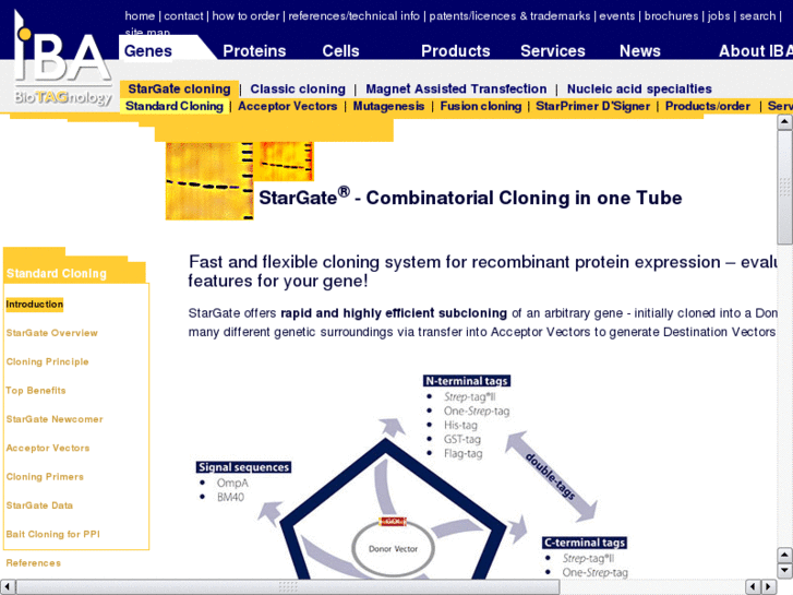 www.stargate-cloning.com