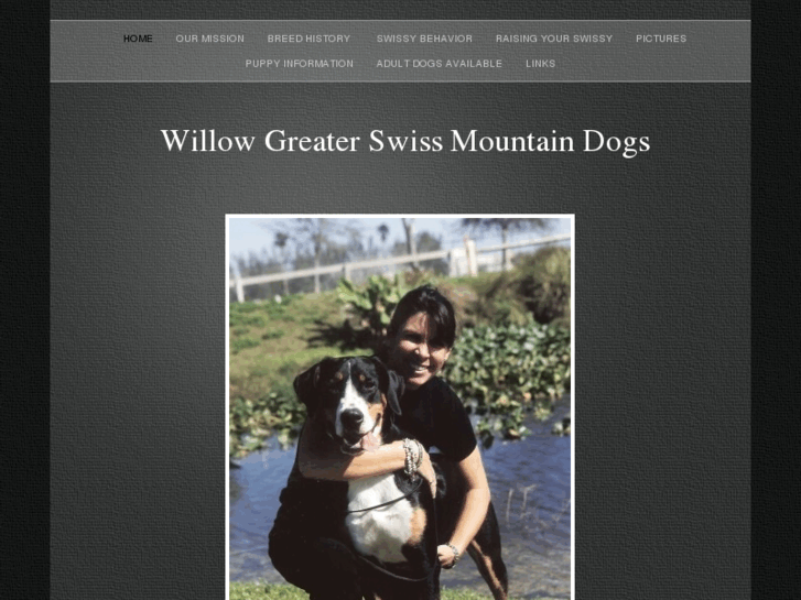 www.willowswissys.com