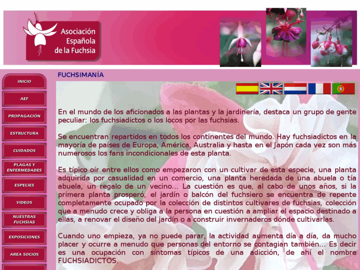 www.aefuchsia.es