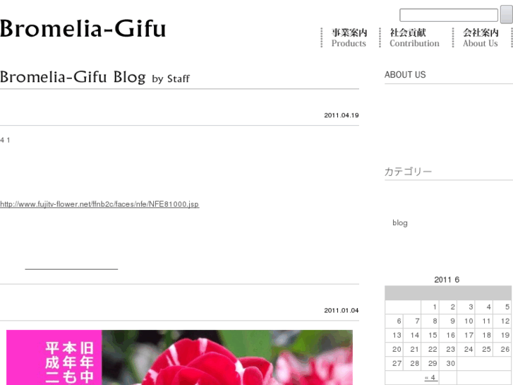 www.bromelia-gifu.com