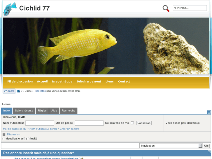 www.cichlid77.net