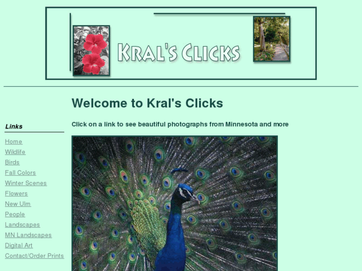 www.kralsclicks.com