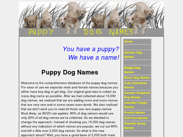 www.mypuppy-dog-names.com