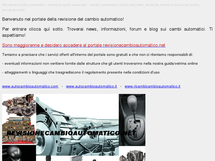 www.revisionecambiautomatici.net