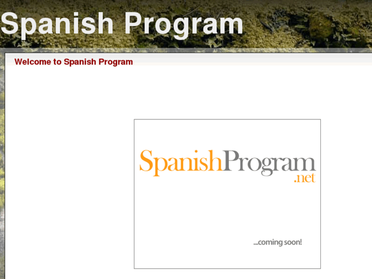 www.spanishprogram.net