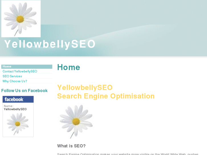 www.yellowbellyseo.com