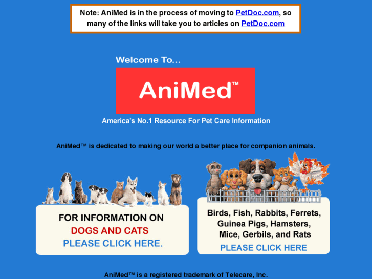 www.animed.org