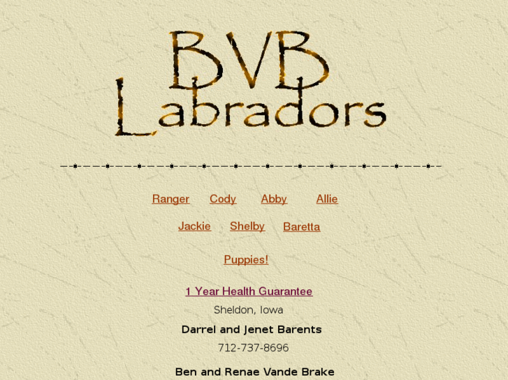 www.bvblabradors.com