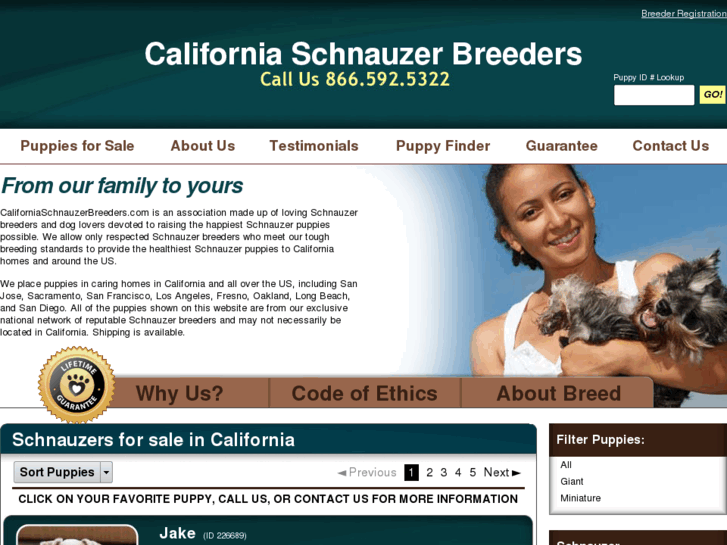 www.californiaschnauzerbreeders.com