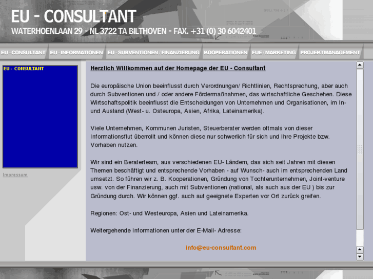 www.eu-consultant.com