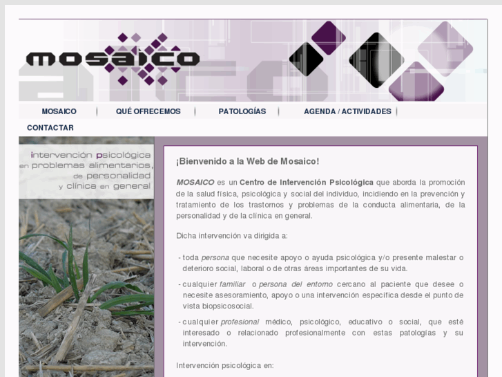 www.mosaicocastellon.com