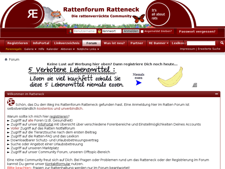 www.ratteneck.com