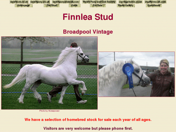 www.finnleastud.com