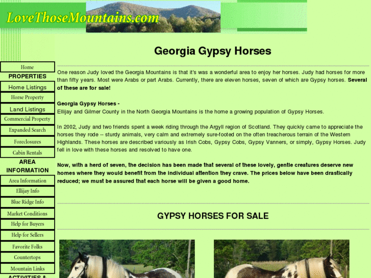 www.lovegypsyhorses.com