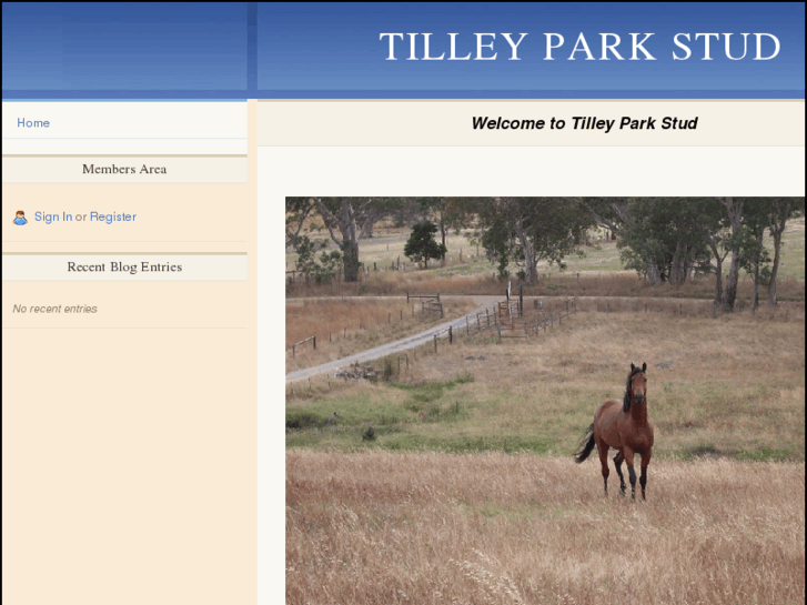 www.tilleyparkstud.com