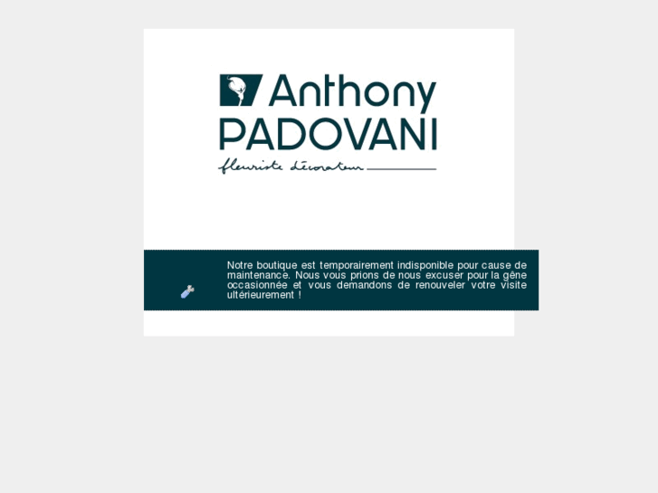 www.anthonypadovani.com