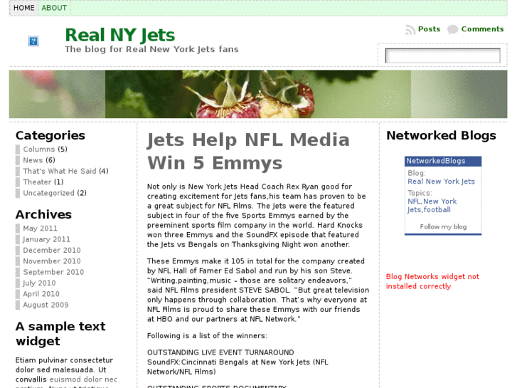 www.realnyjets.com