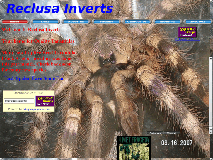 www.reclusainverts.com