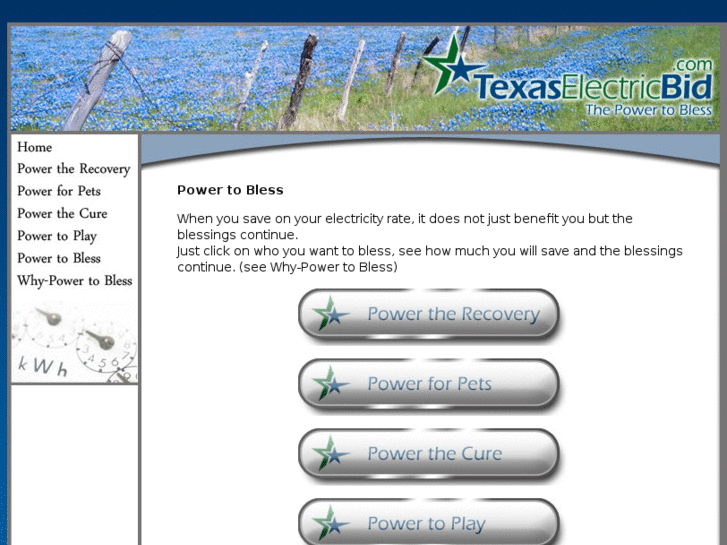 www.texaselectricbid.com