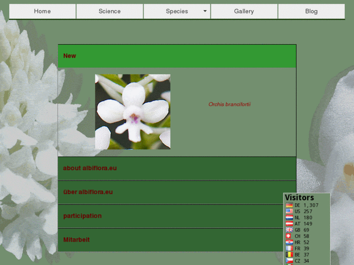www.albiflora.eu