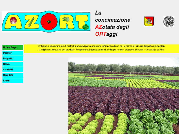 www.azort.it