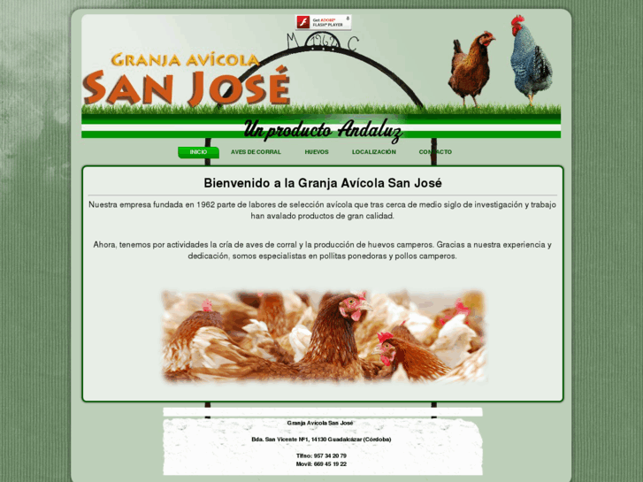 www.granjaavicolasanjose.com