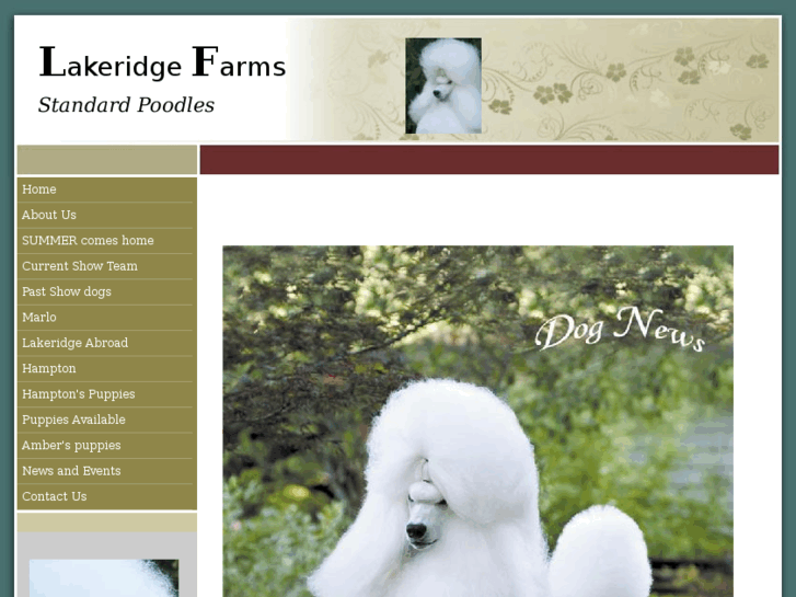 www.lakeridgestandardpoodles.com