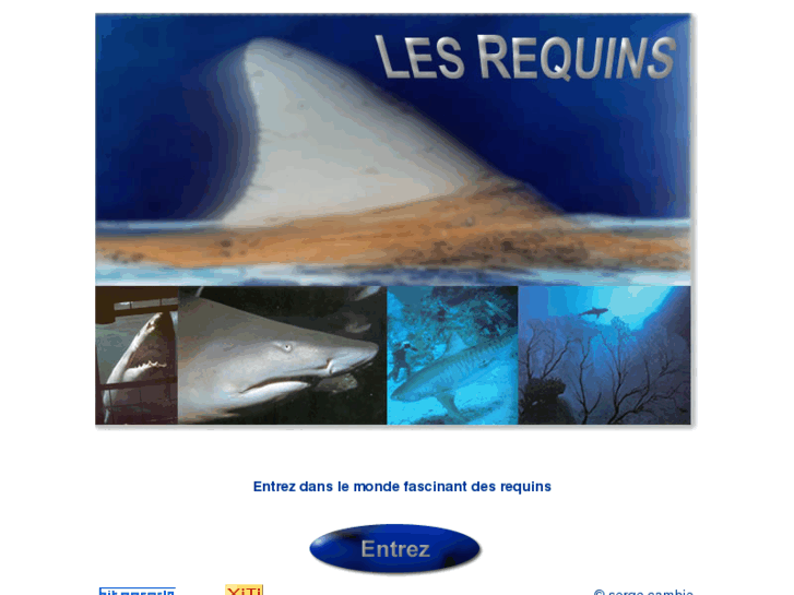 www.les-requins.com