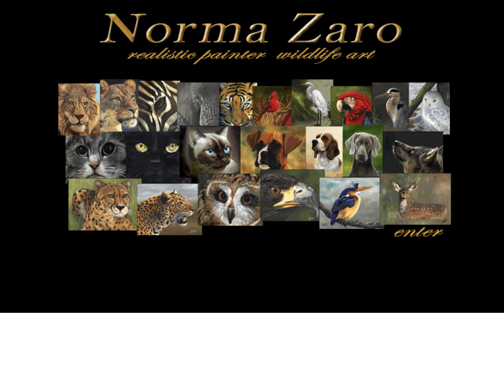 www.normazaro.com